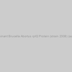 Image of Recombinant Brucella Abortus rplQ Protein (strain 2308) (aa 1-142)